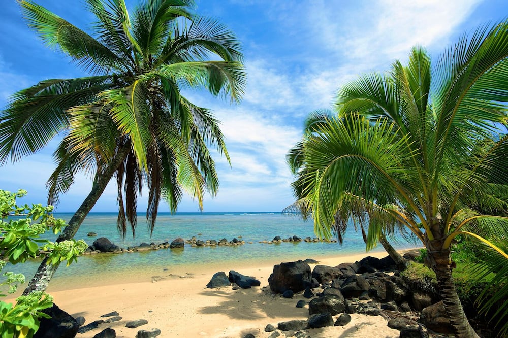 Paniolo 210a - Princeville, HI