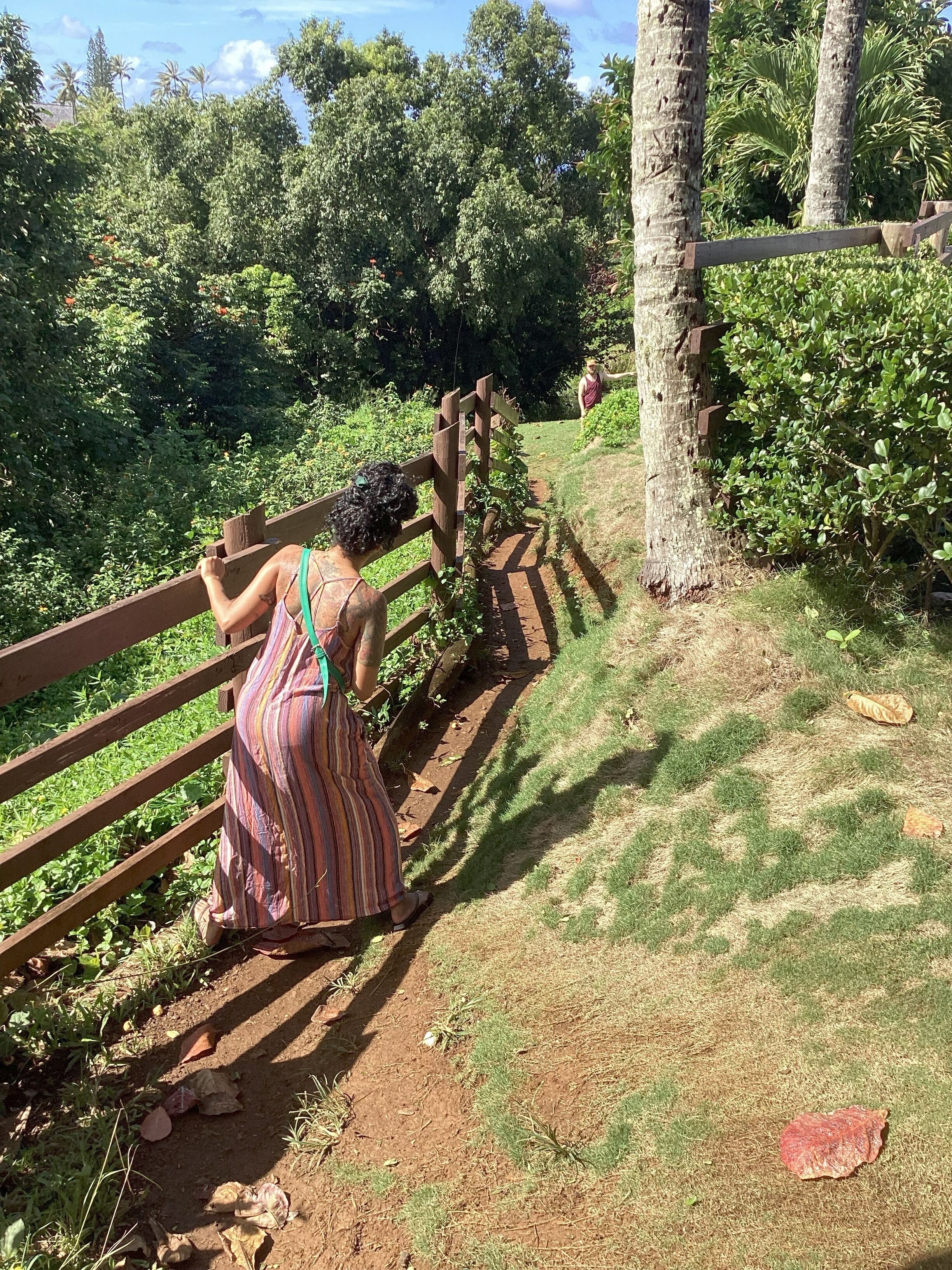 A wooden pathway with a person leaning on a fence, surrounded by greenery and trees.