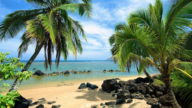 A tropical beach scene with palm trees and clear blue water. - Paniolo 210b (Princeville)