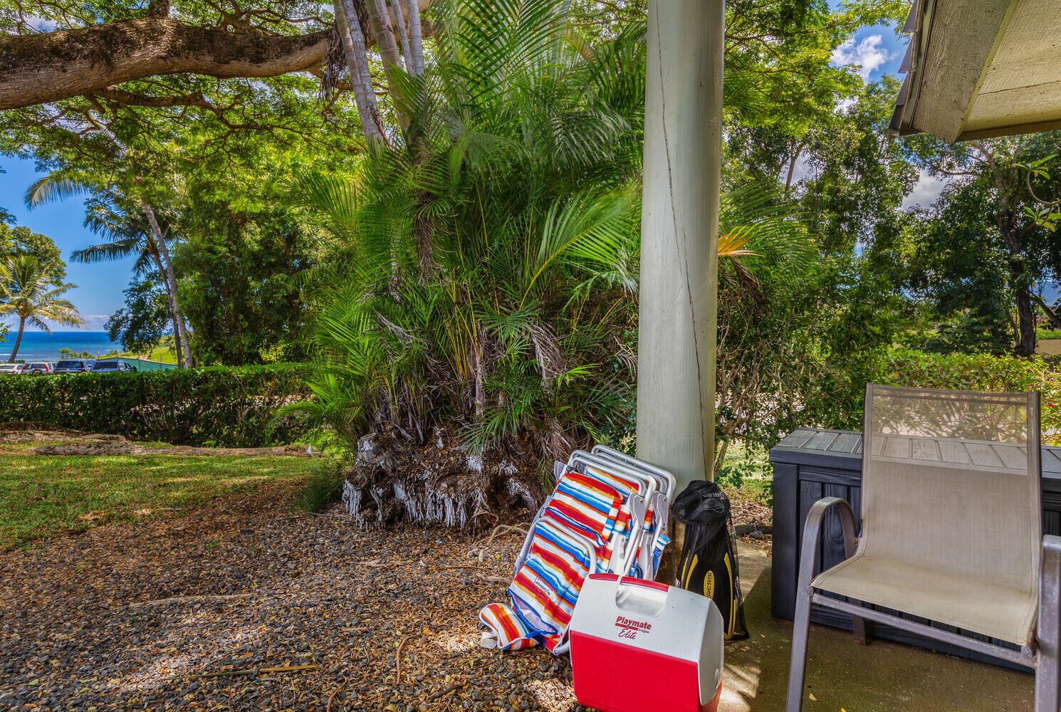 A covered outdoor area with a palm tree, a Playmate cooler, and a chair.