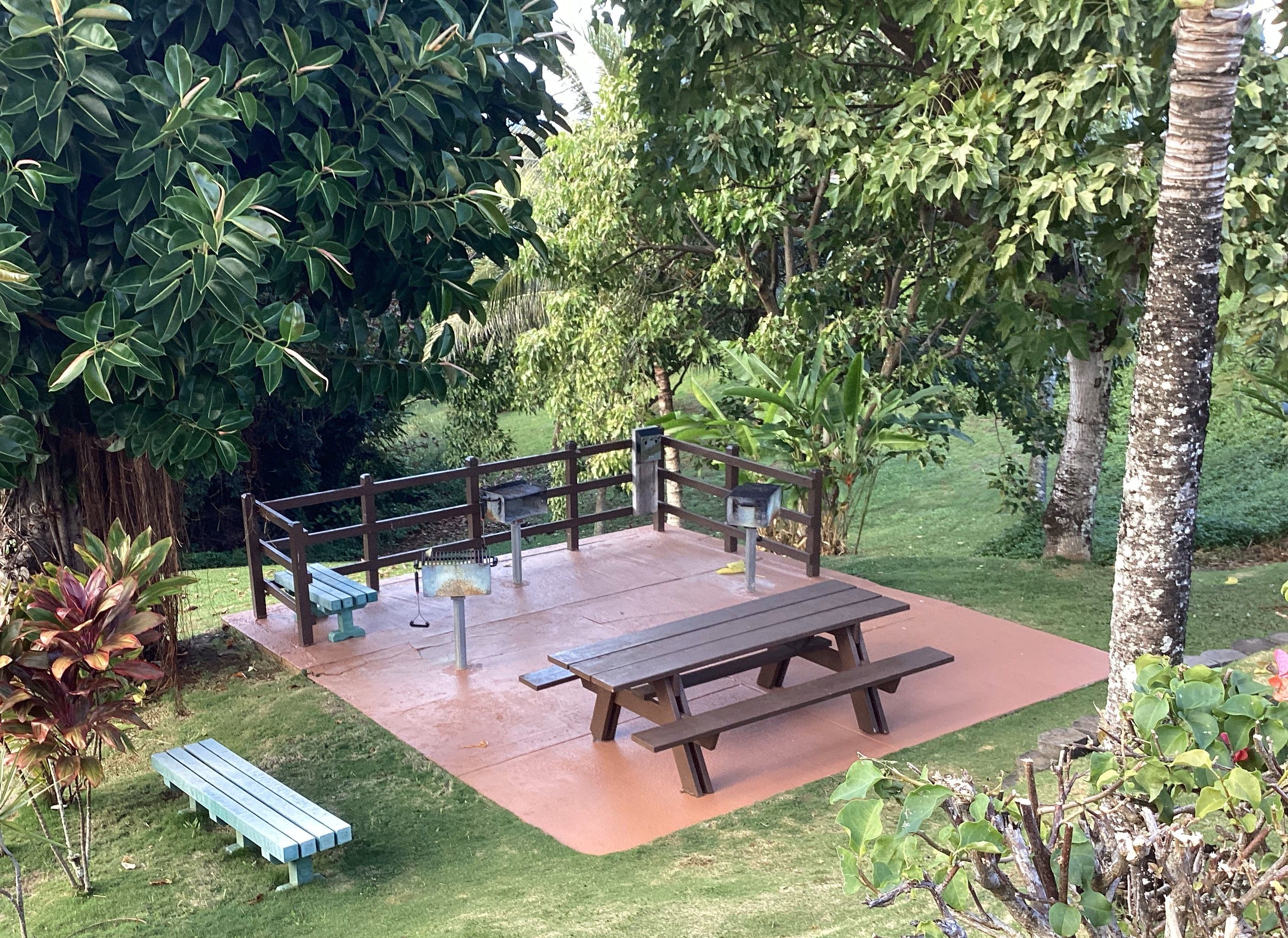 Un espace patio avec une table en bois et des bancs, entouré d’une végétation luxuriante et d’arbres.