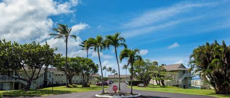 A residential street with palm trees, houses, and a stop sign.