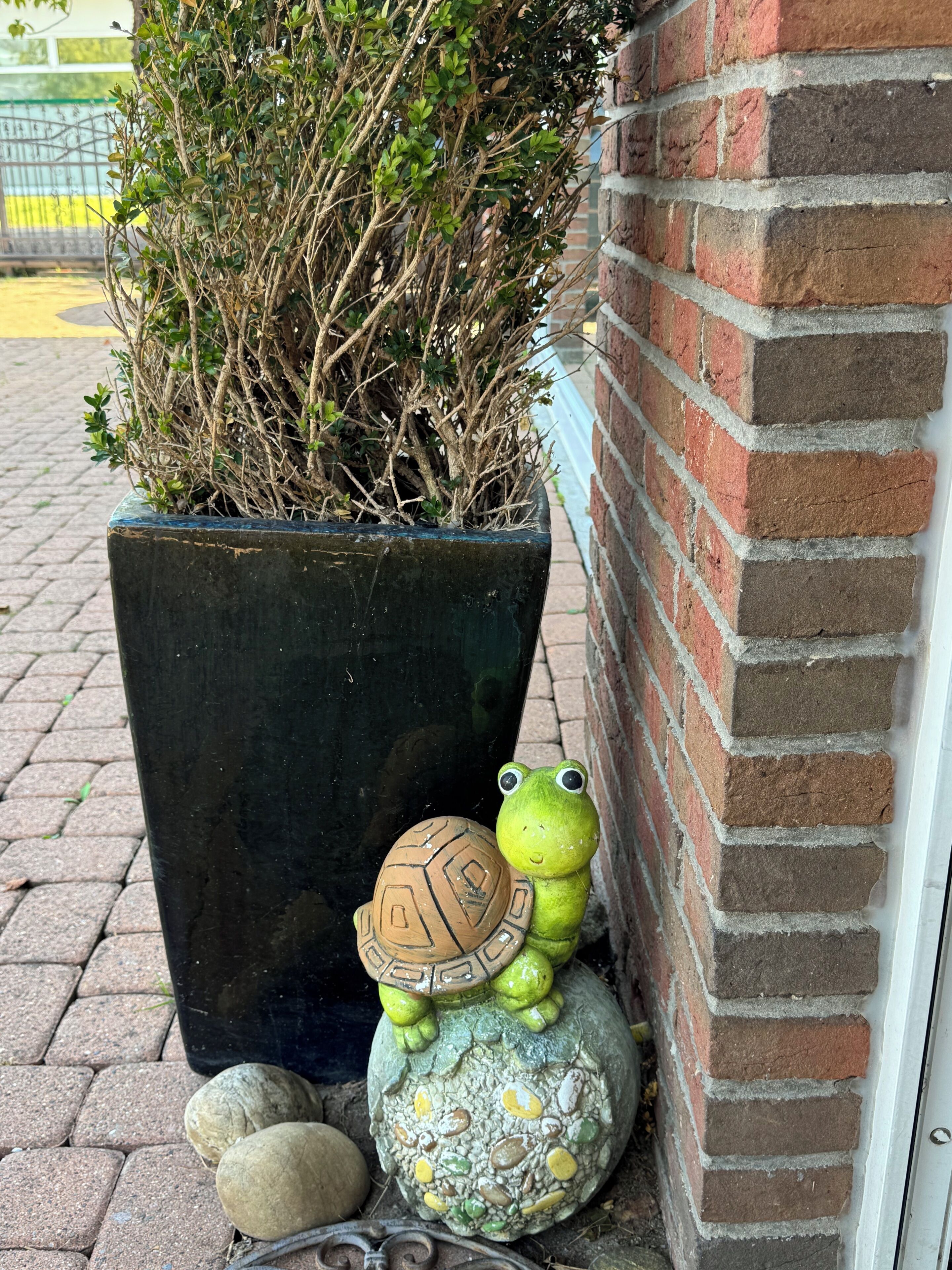 Una maceta con una rana verde y una escultura de tortuga, un muro de ladrillo y un seto.