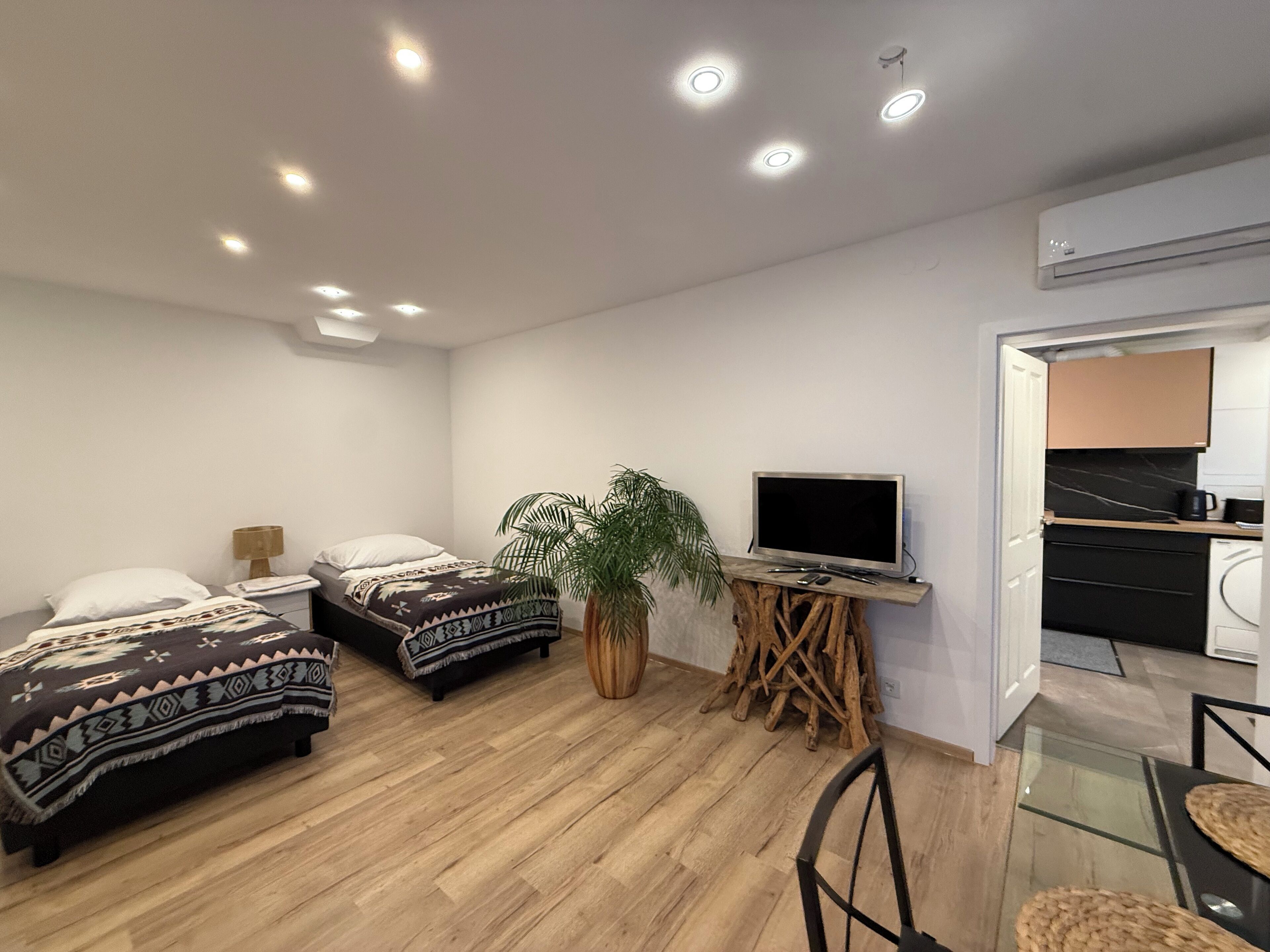 A modern bedroom with two beds, a TV, and a plant.