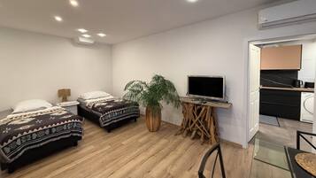 A modern bedroom with two beds, a TV, and a plant.