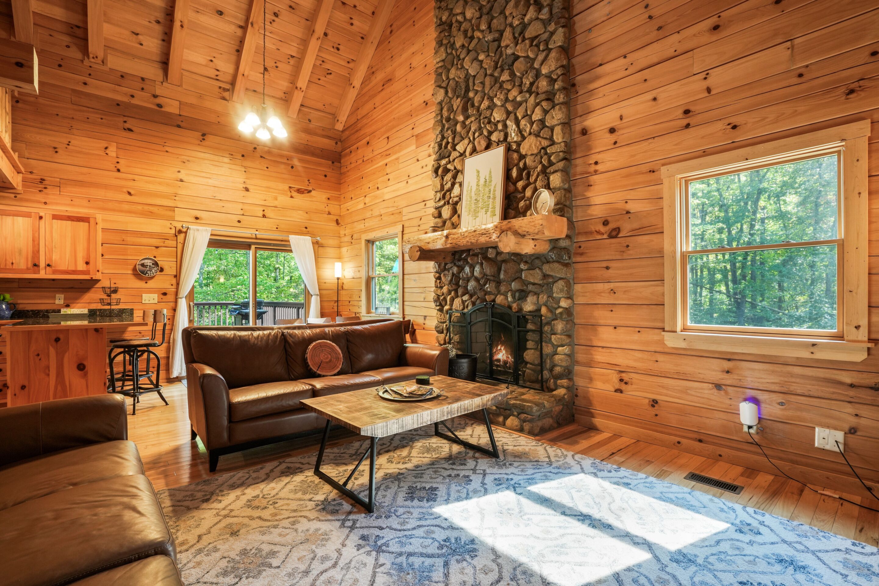 Televisor, llar de foc, reproductor de DVD i futbolí 