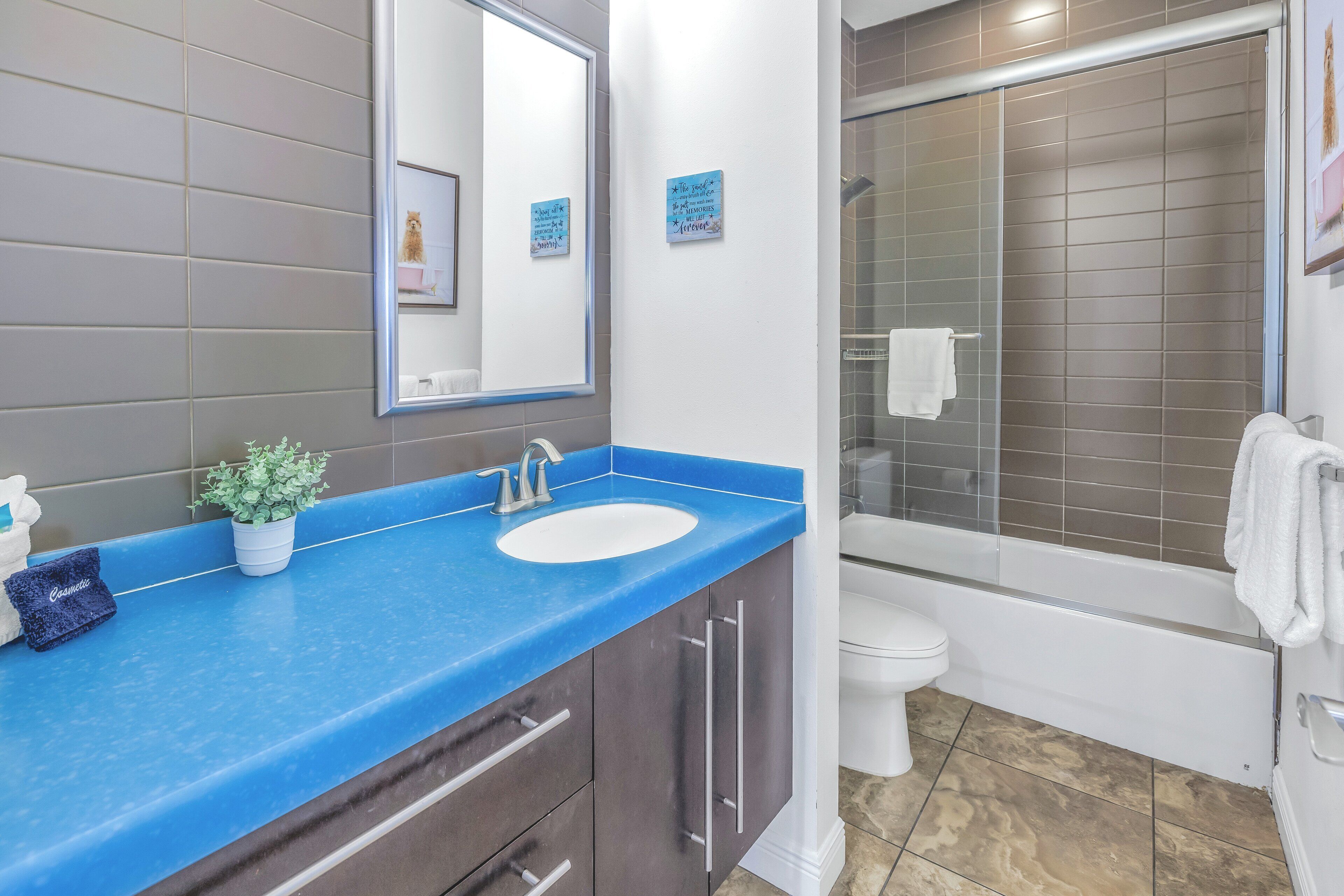 Une salle de bain avec un plan de toilette bleu, un lavabo blanc, un miroir, une plante en pot, une douche et des toilettes.