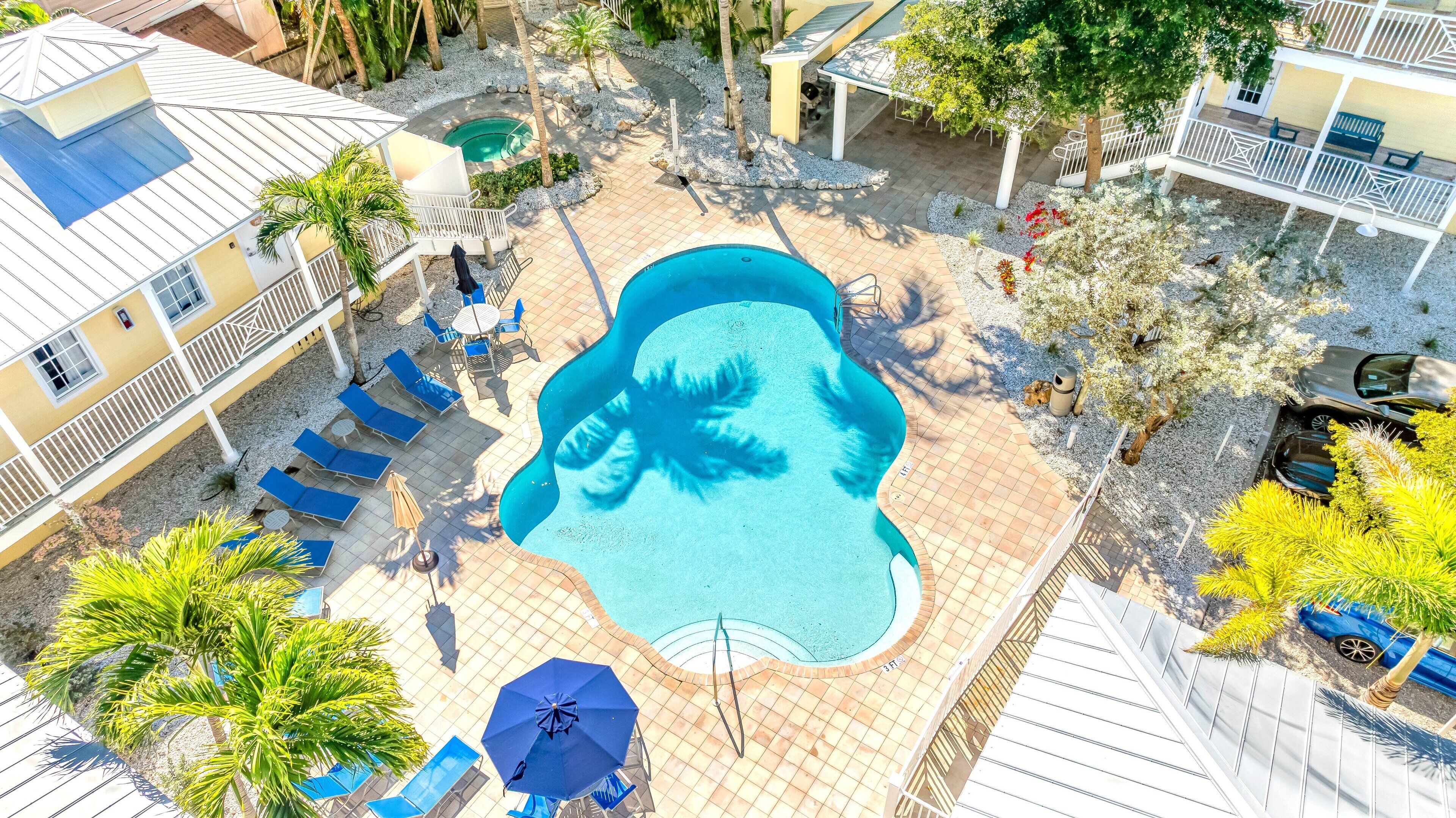 A rooftop pool area with lounge chairs and umbrellas, surrounded by buildings and palm trees.