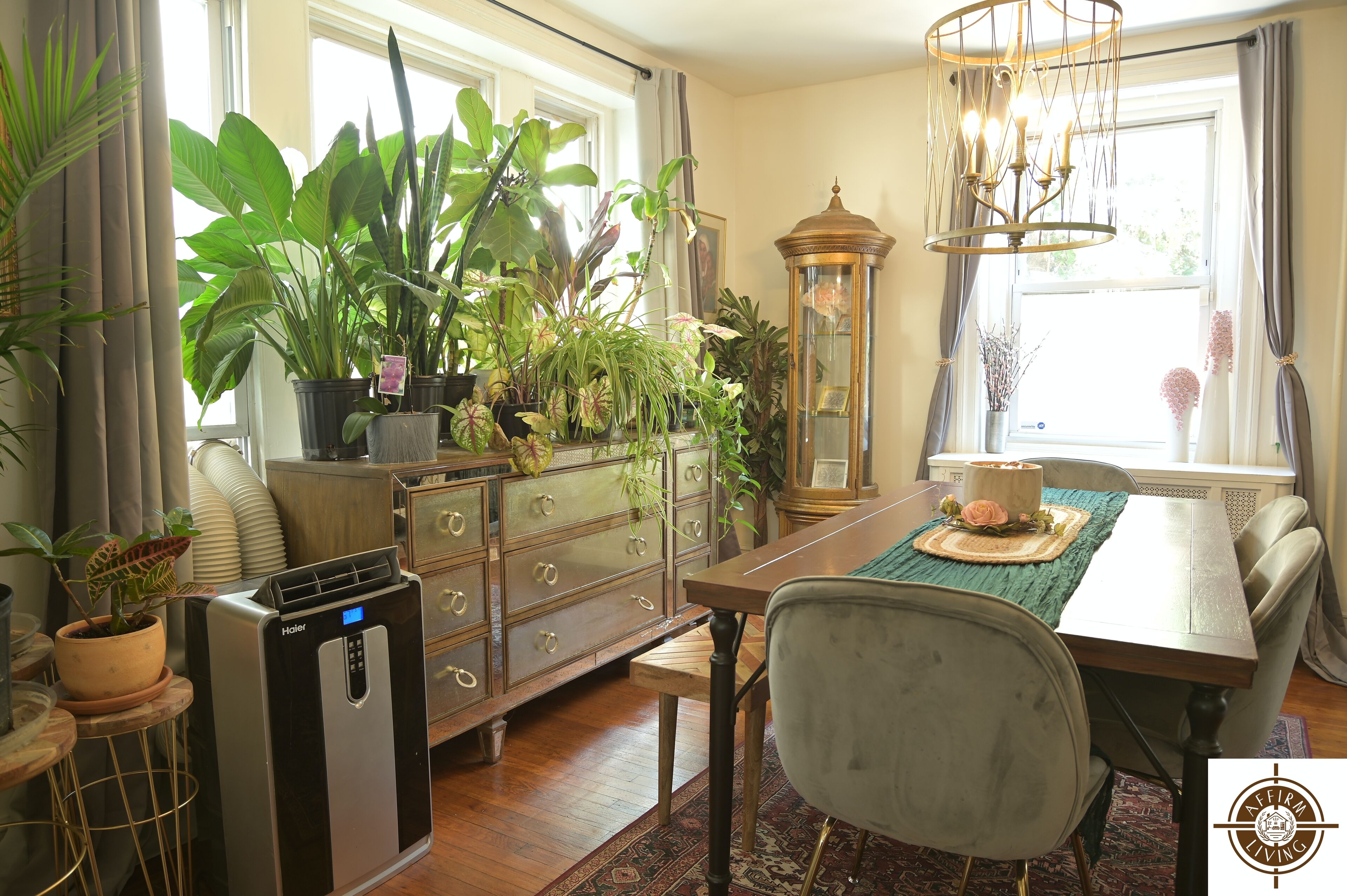 A dining area with a wooden table, chairs, and a variety of potted plants.