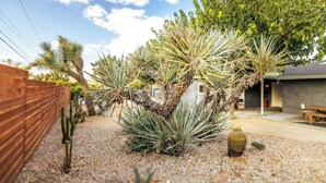 Um jardim com vários cactos e uma cerca de madeira.
