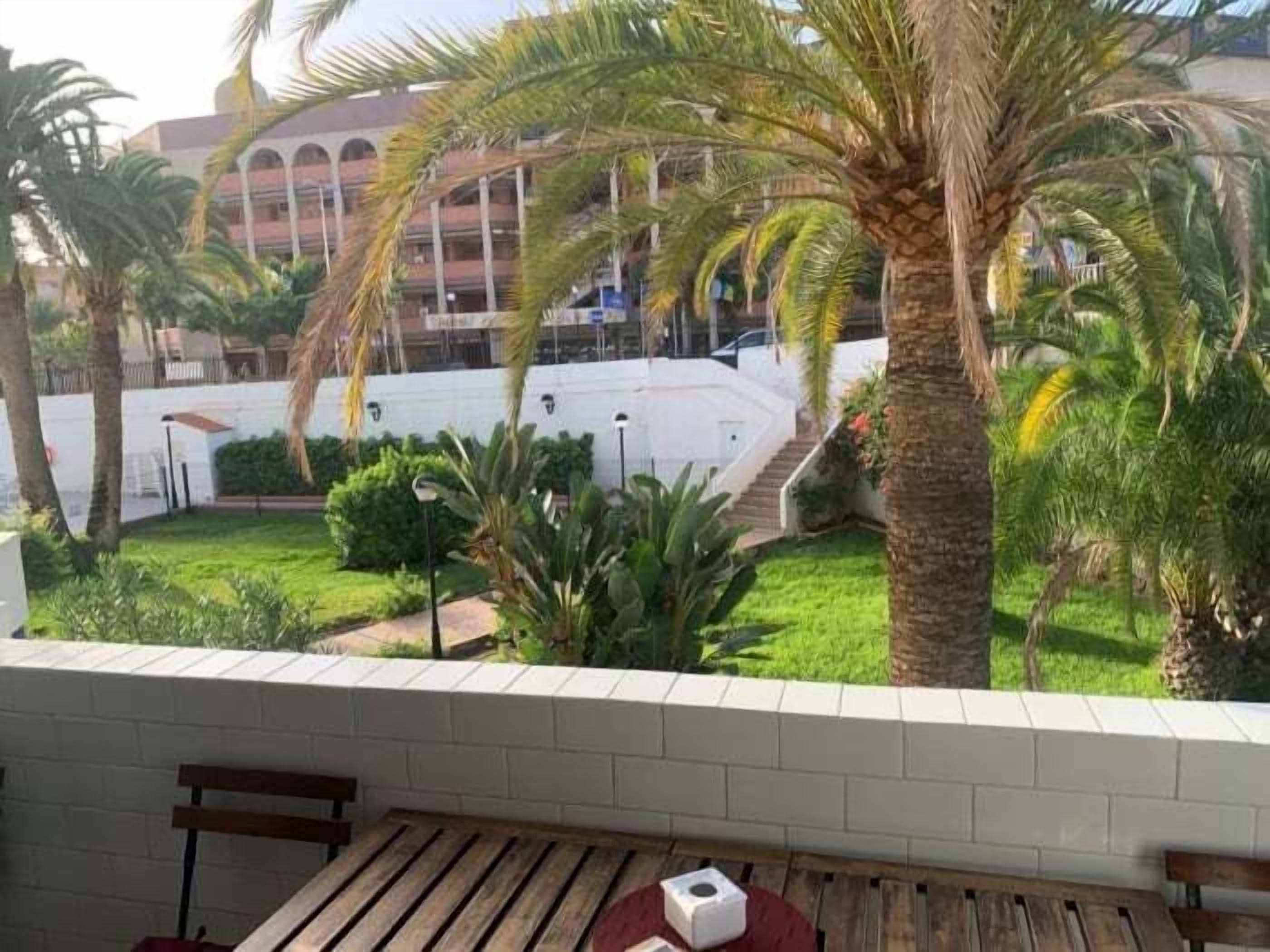 Un patio con mesa y bancos de madera, rodeado de palmeras y un edificio blanco al fondo.