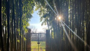 Une porte en bambou mène à une zone herbeuse, et la lumière du soleil filtre à travers les feuilles.