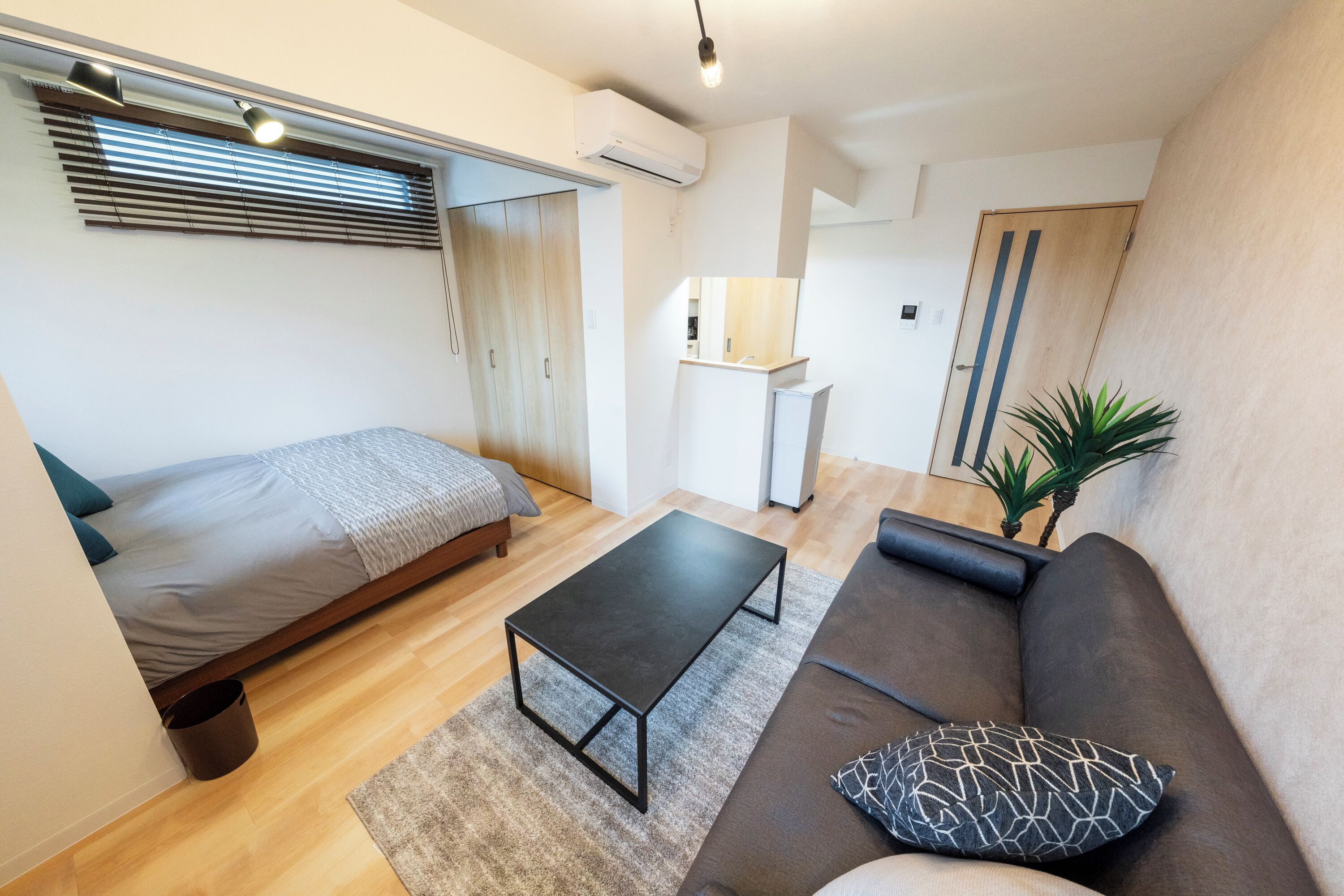A compact living space with a bed, a sofa, a small table, and a potted plant.