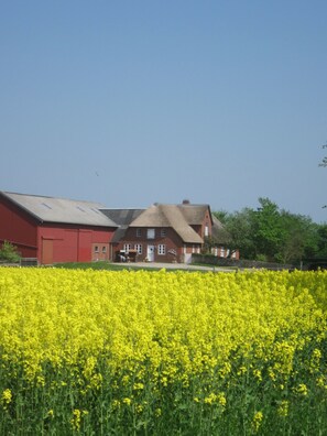 Exterior - Apartment 'Benninghusum' with Shared Garden and Wi-Fi (Emmelsbüll-Horsbüll)