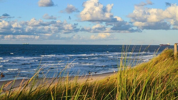 Une plage avec des vagues, un navire à l’horizon et une zone herbeuse au premier plan.