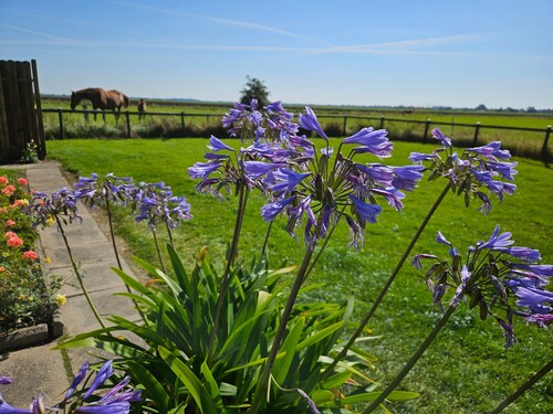 Holiday Home 'Wiesenblick' with Private Terrace and Shared Garden