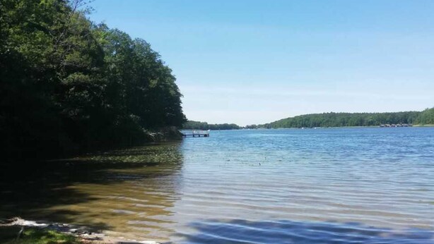 A calm lake with a dock, surrounded by dense trees and a clear sky. - Pet-Friendly Apartment in the Lake District (Fünfseen Ot Petersdorf)