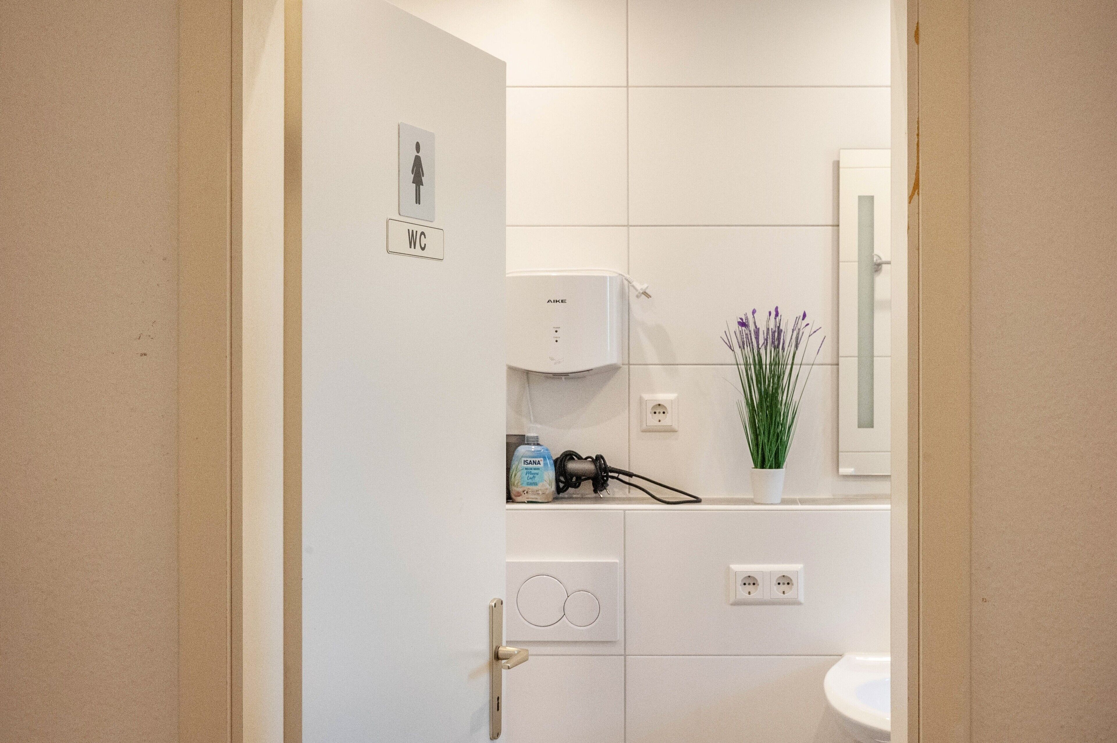 A bathroom with a WC sign, a hand dryer, a plant, and a mirror.