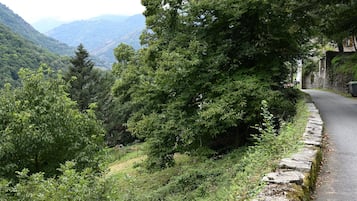 Un camino estrecho bordeado por abundante vegetación y muros de piedra, que atraviesa una zona montañosa.