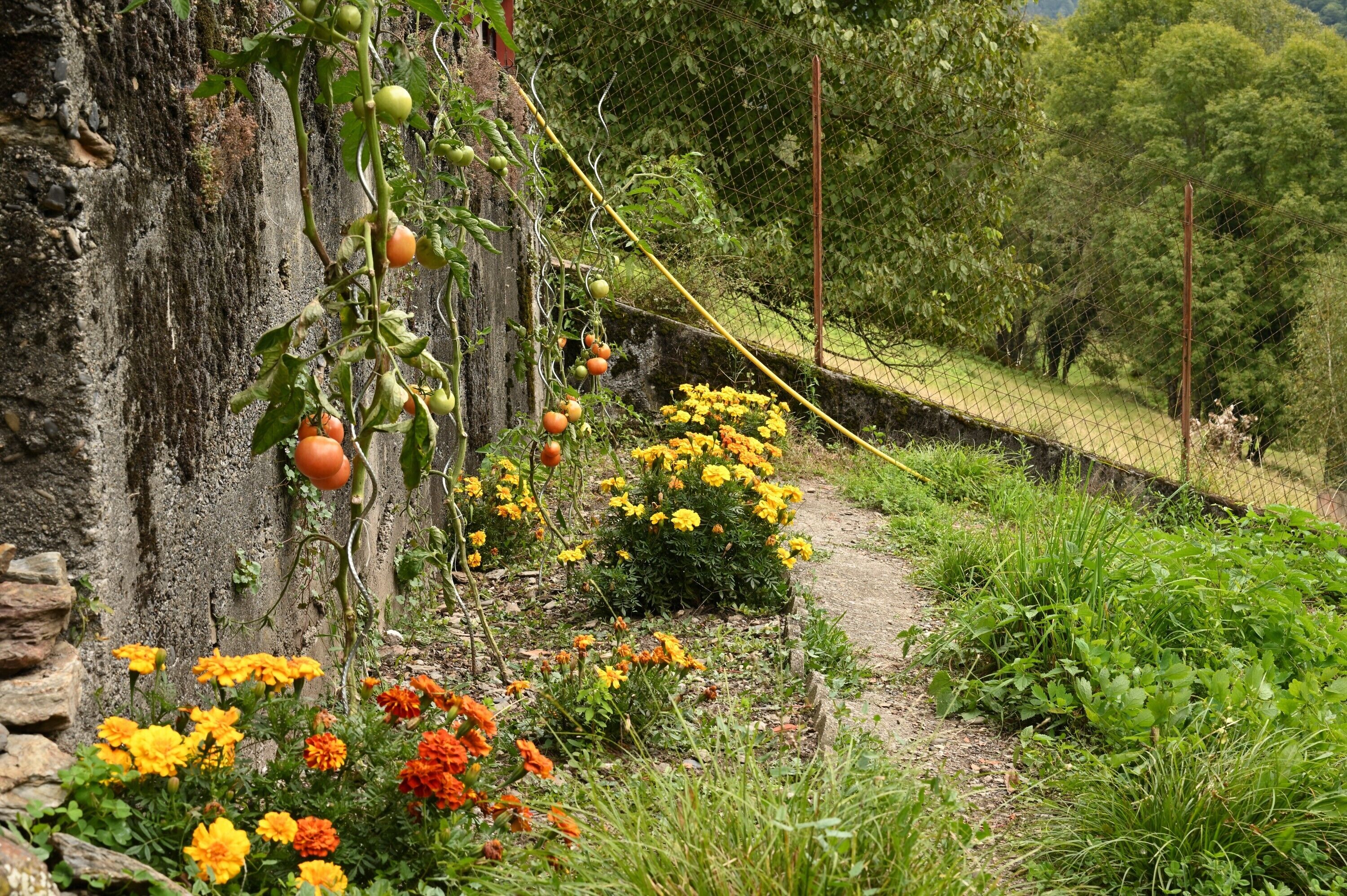 Enceinte de l’hébergement