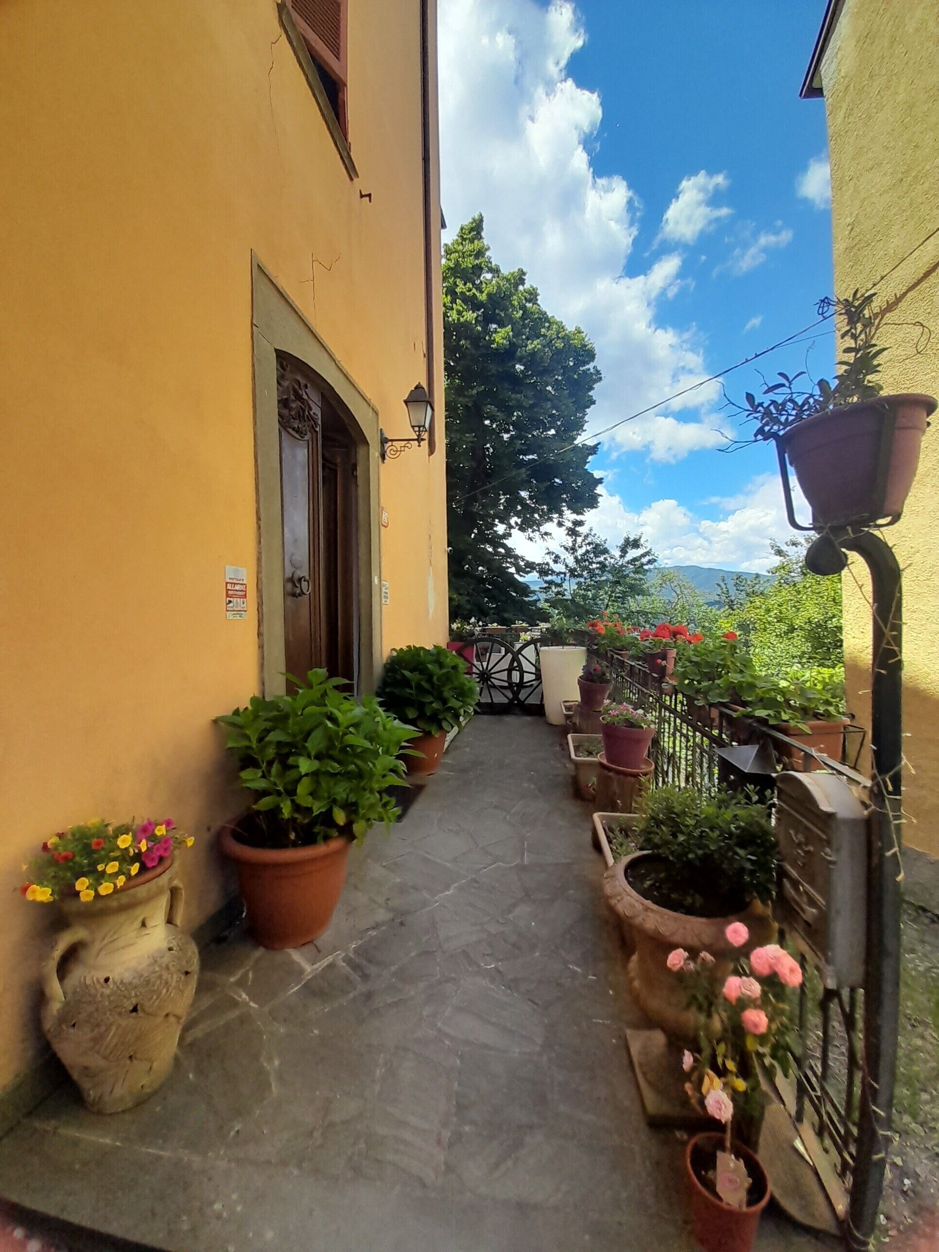Dettaglio esterni