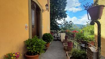 Dettaglio esterni