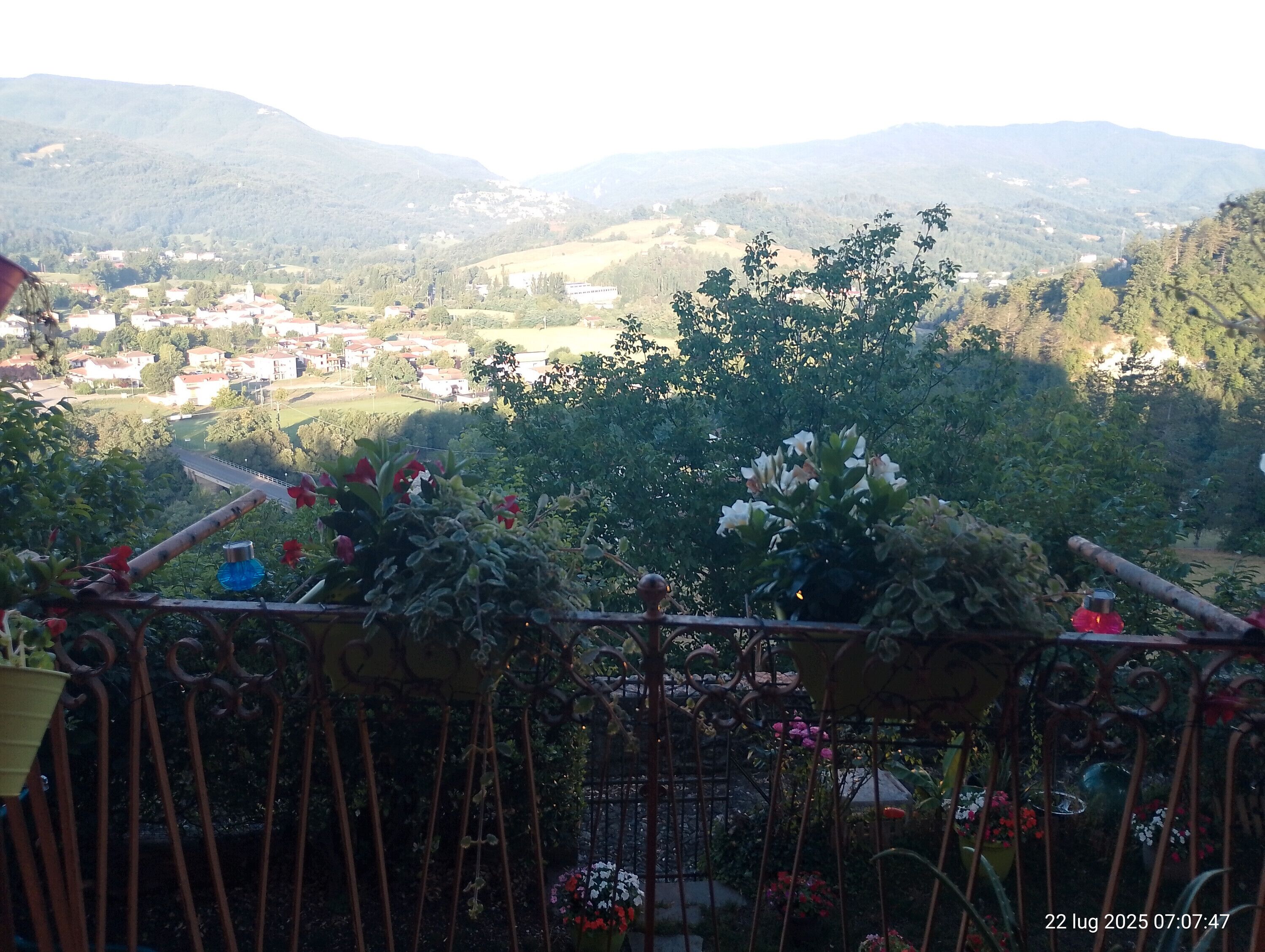 Parco della struttura