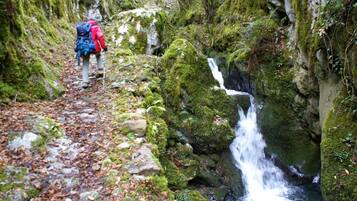 Sendero para excursionismo con una cascada y rocas cubiertas de musgo.