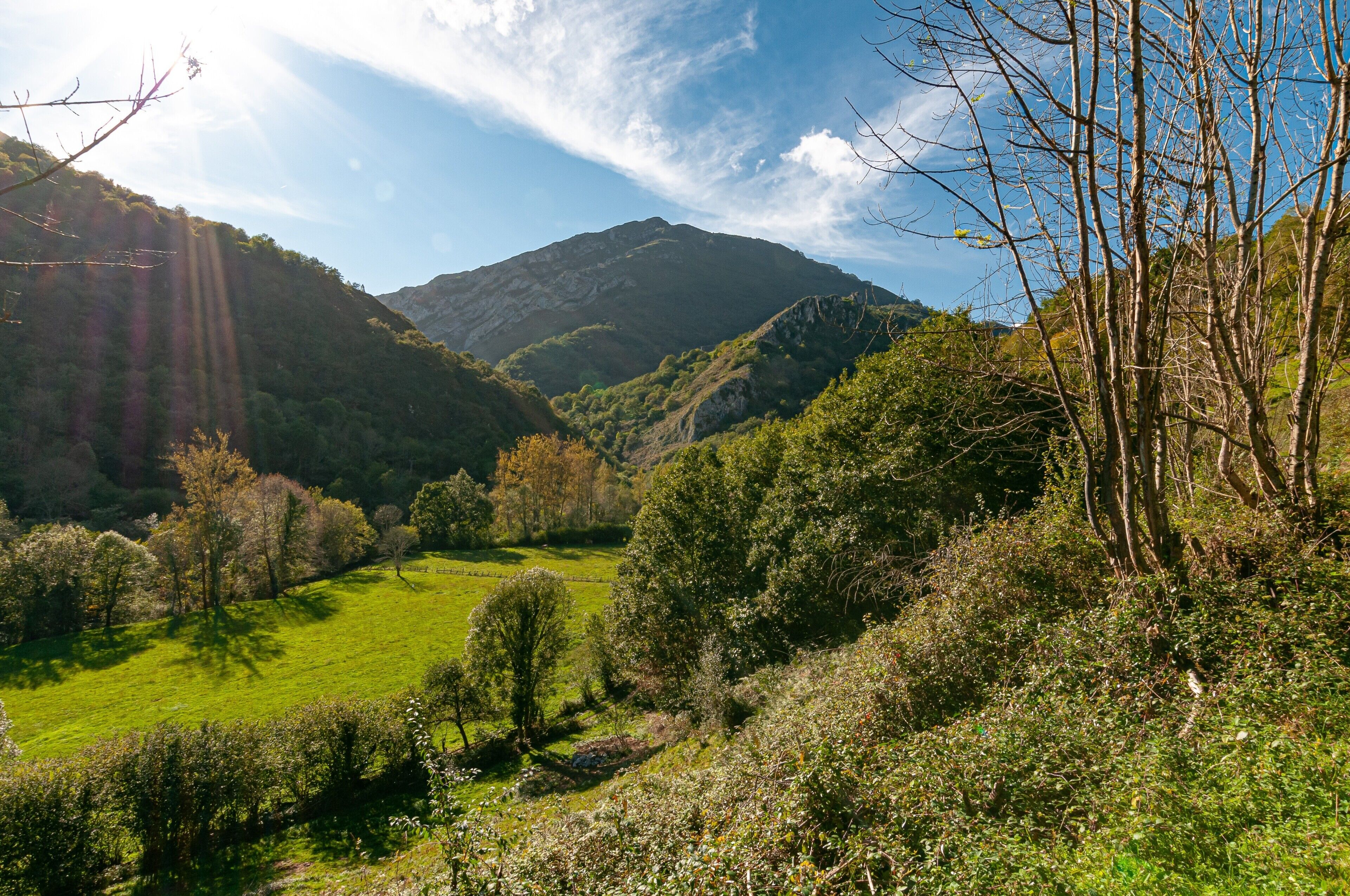 Een bergachtig landschap met een vallei, bomen en een heldere lucht.