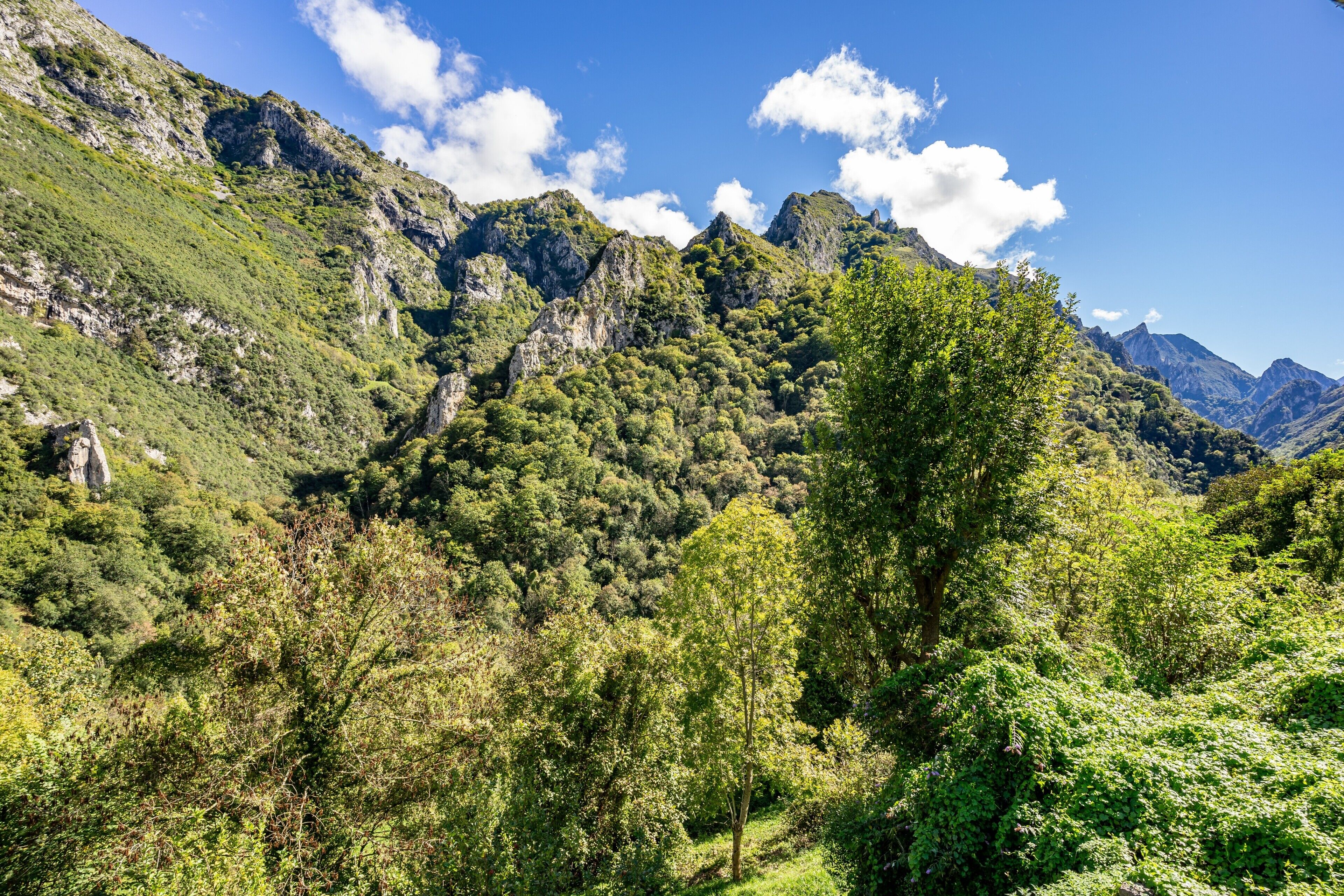 Eine gebirgige Landschaft mit dichtem Wald und steilen Felsen.