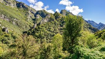 Eine gebirgige Landschaft mit dichtem Wald und steilen Felsen.