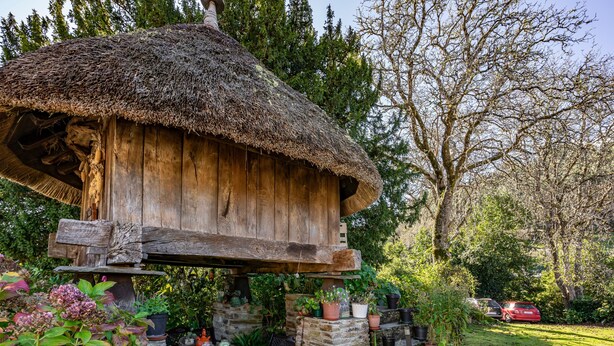 A rustic wooden structure with a thatched roof, surrounded by lush greenery and potted plants. - Rural House 'Teixo' with Mountain Views, Private Terrace, and Wi-Fi (A Fonsagrada)