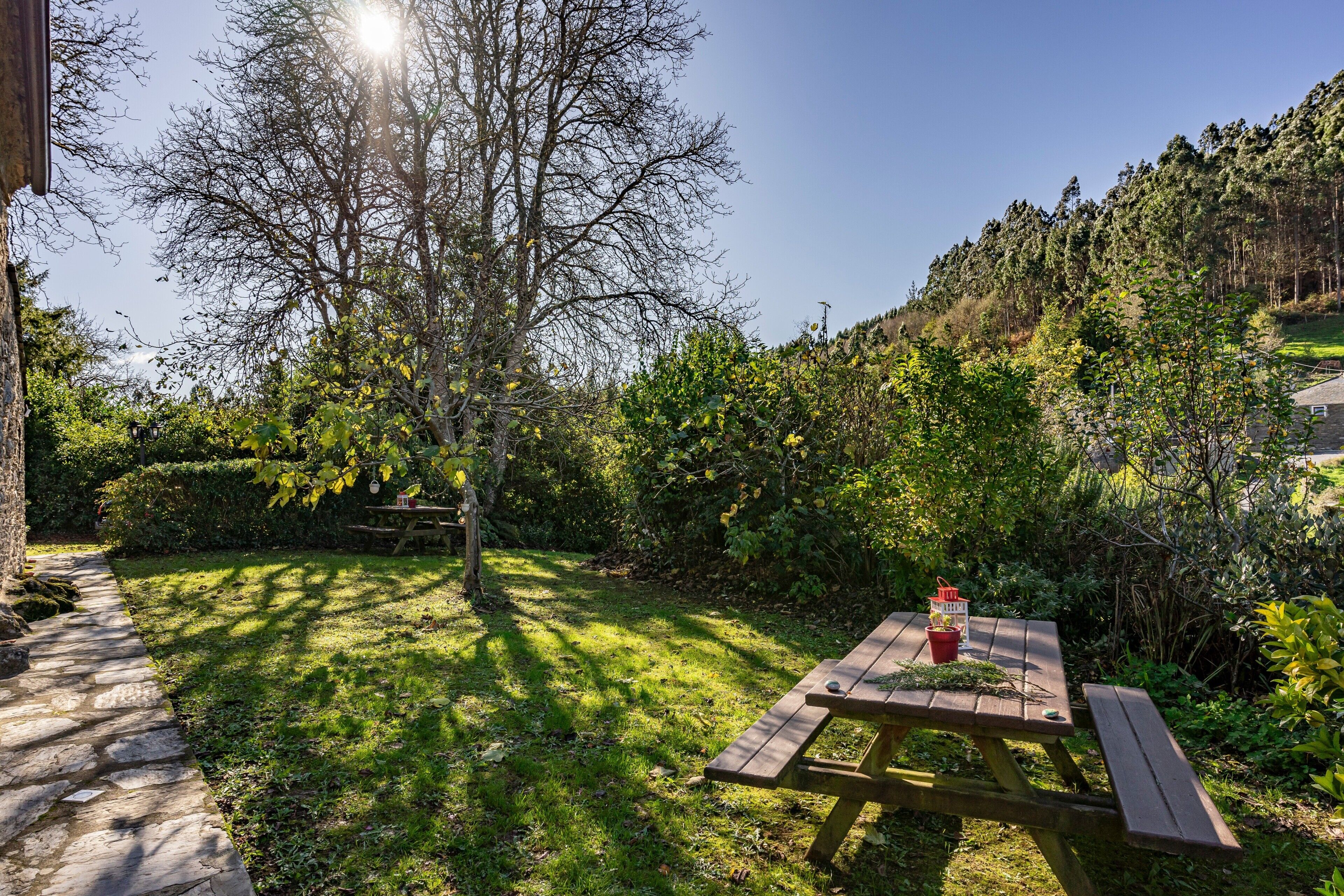 屋外ダイニングエリア