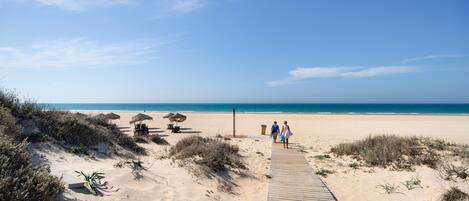 Playa en los alrededores
