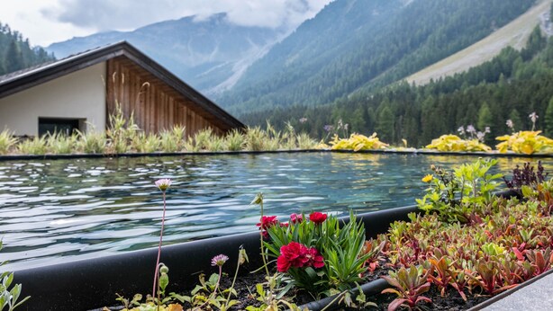 A mountain landscape with a building near a pond with various plants. - Apartment 'Rumwaldhof Enzian' with Mountain View, Shared Terrace and Wi-Fi (Sulden)