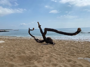 Een strand met een grote, verdraaide boomstam op de voorgrond.
