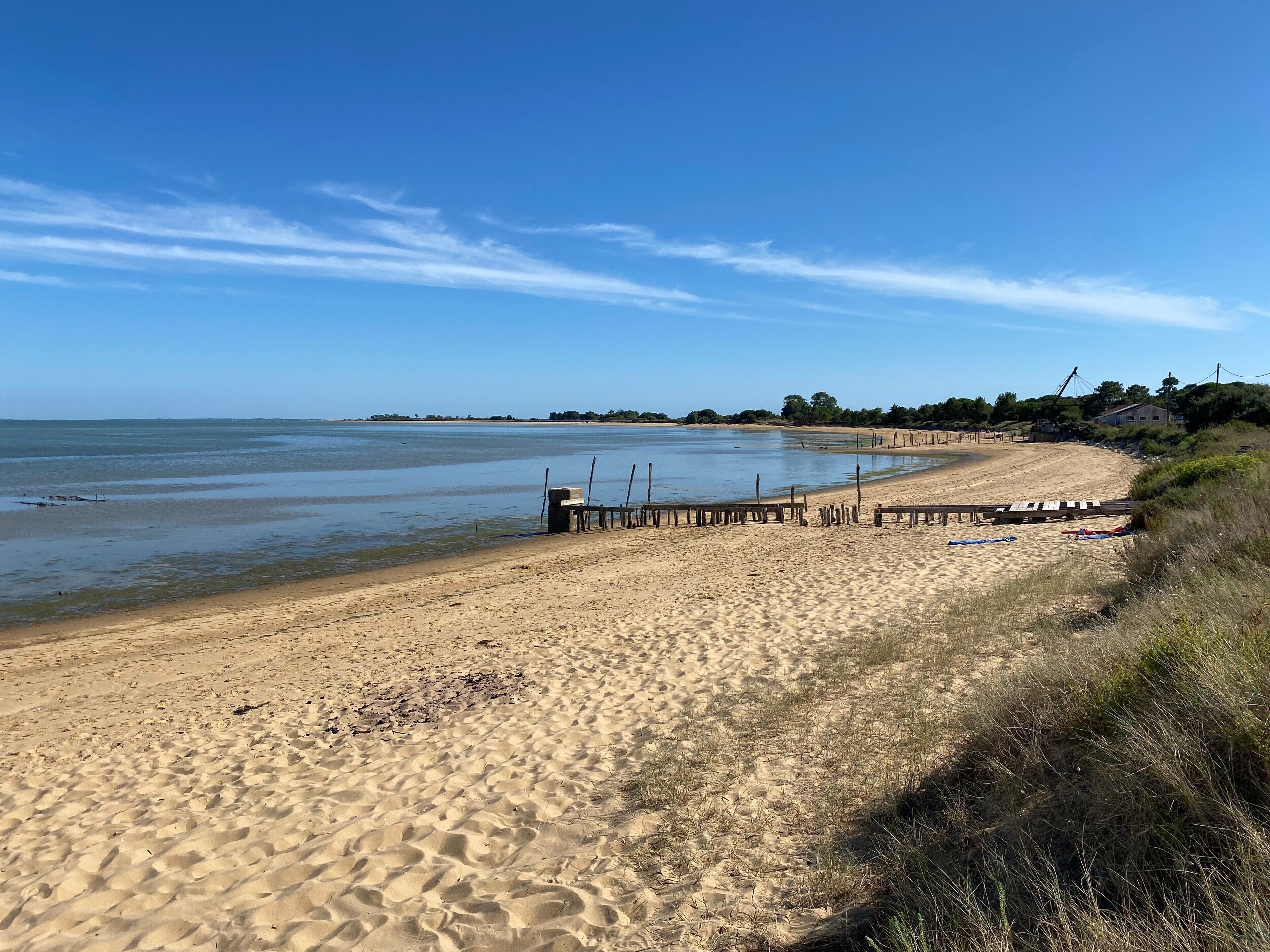 Playa en los alrededores 