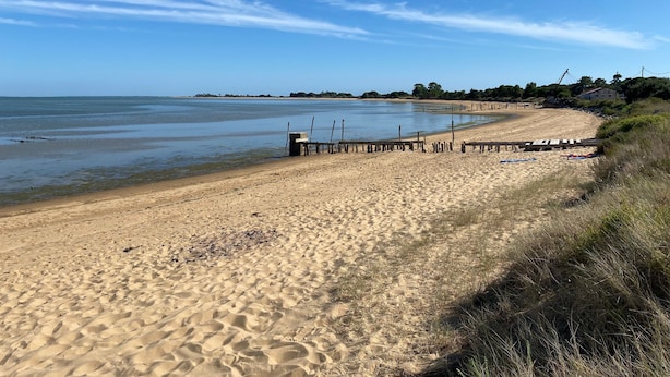 Een zanderig strand met een houten pier die zich uitstrekt over kalm water, omgeven door schaarse begroeiing en verre gebouwen.