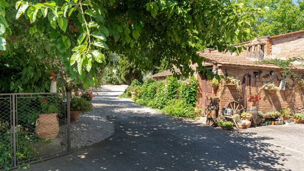 Un étroit sentier pavé de pierres menant à un bâtiment rustique en briques, agrémenté de plantes en pot et d’une brouette.