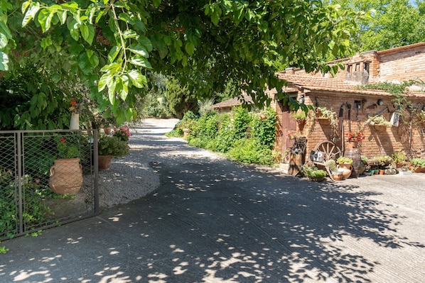A narrow cobblestone path leading to a rustic brick building with potted plants and a wheelbarrow.