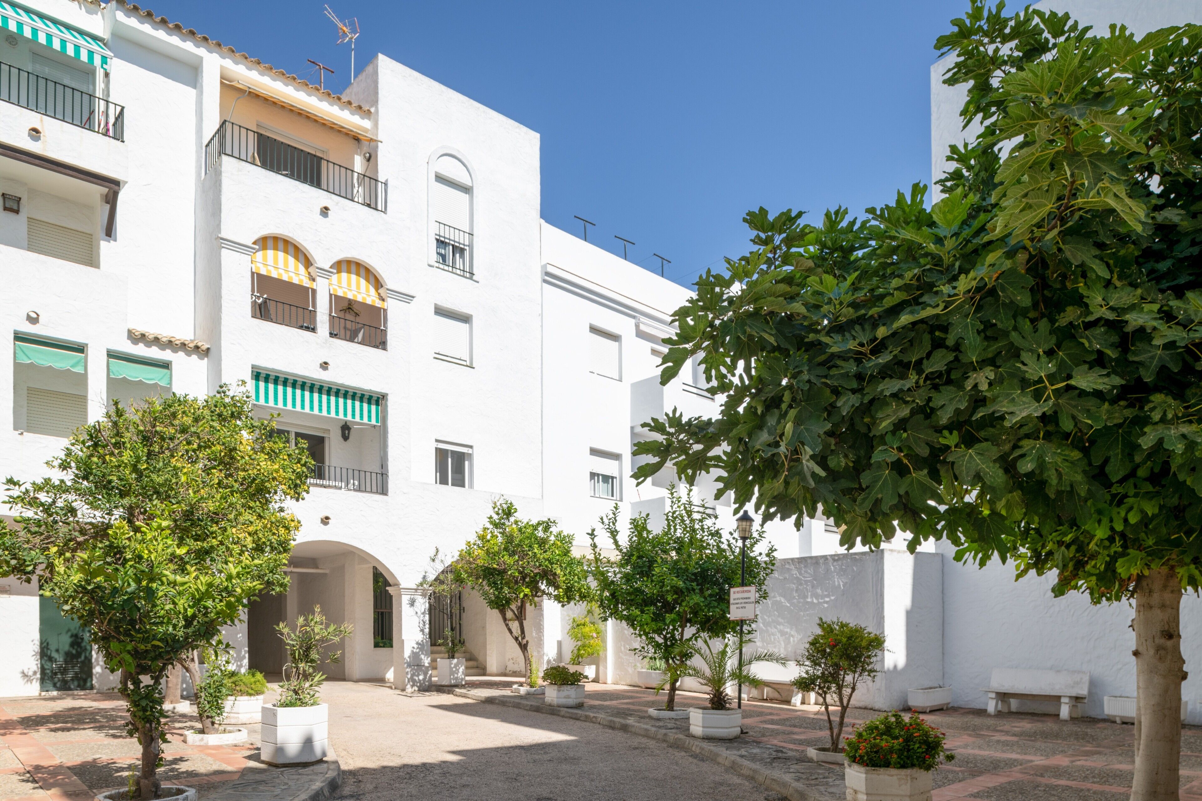 A courtyard with white buildings, potted plants, and a bench.