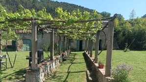 Un vignoble doté d’une pergola, de murs en pierre et d’une zone herbeuse.
