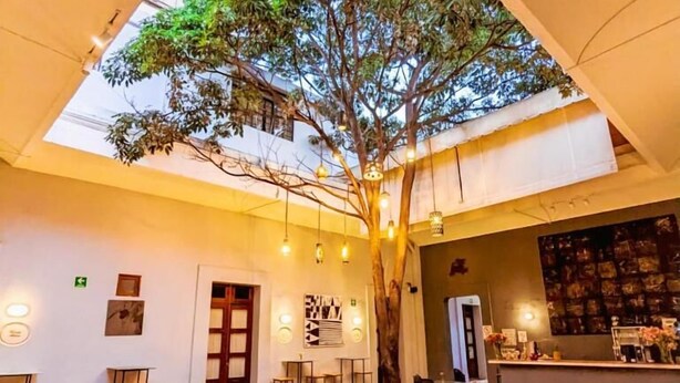 Exterior - BKL Hotel (Oaxaca)