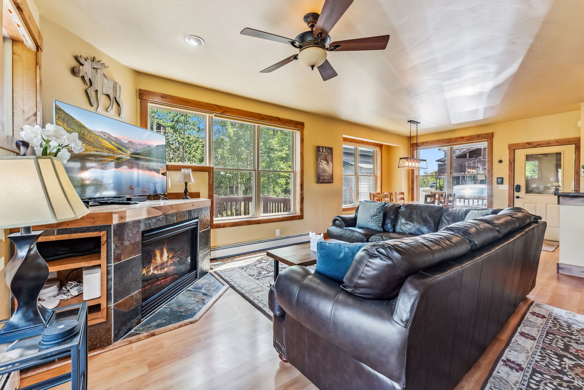 تلفزيون، مدفأة، مشغل دي في دي