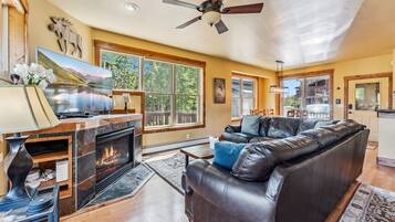 TV, fireplace, DVD player