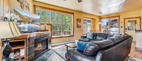 電視、壁爐、DVD 播放機