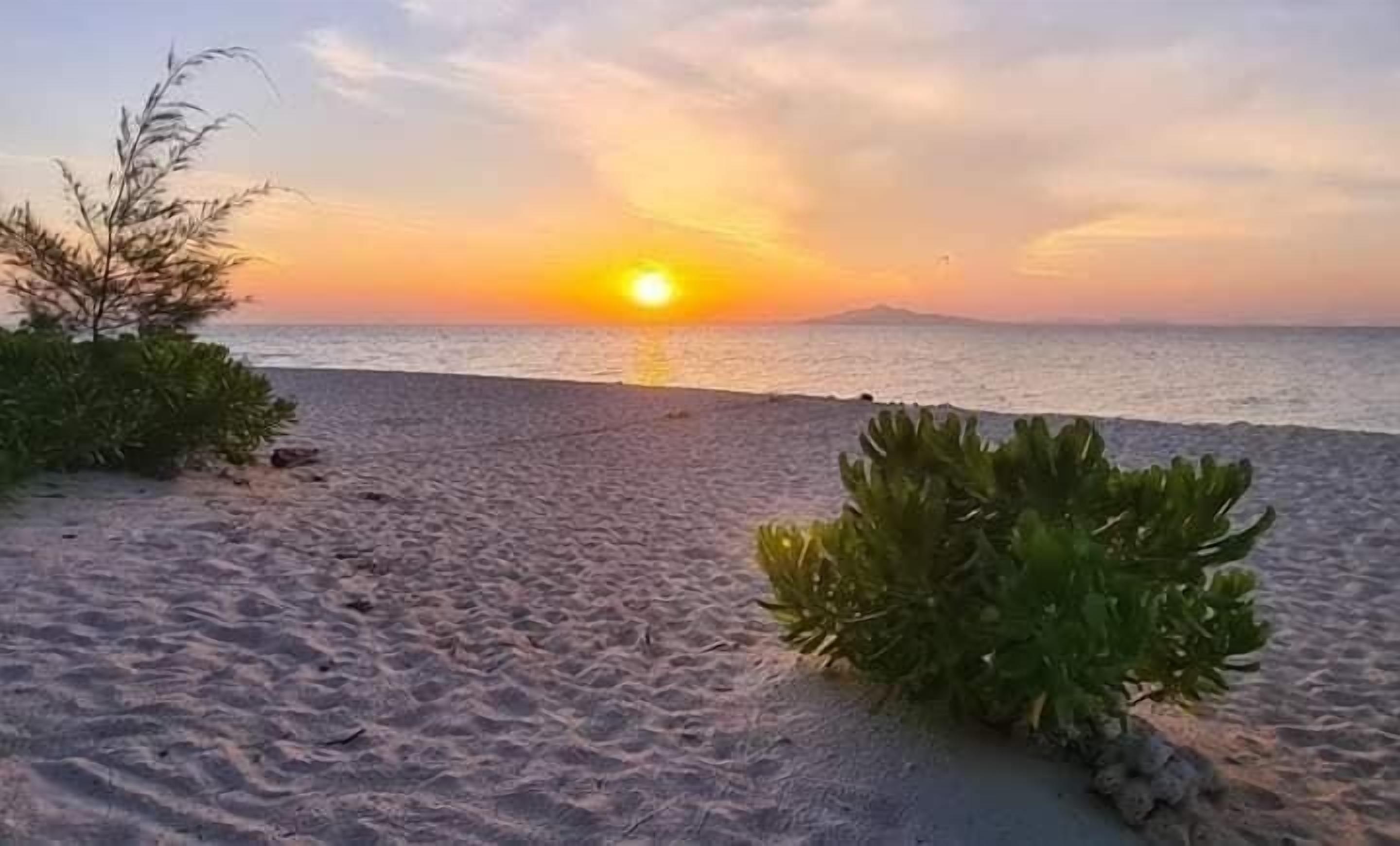 A beach with sand and vegetation.