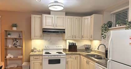 New Modern 1 BD Suite, Close to DT