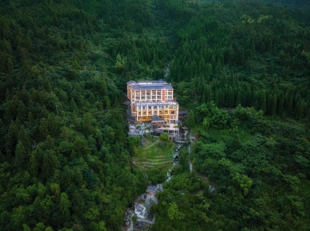 Un edificio grande de varios pisos rodeado de un bosque denso.