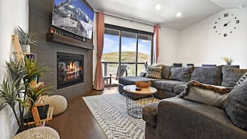 Smart TV, fireplace, books